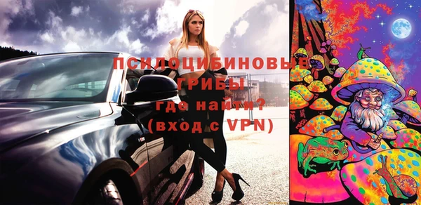 мяу мяу мука Чегем