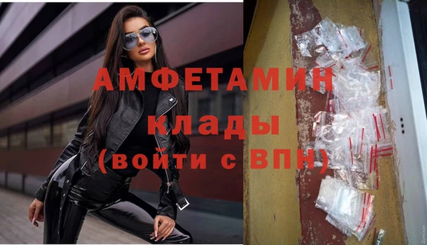 мяу мяу мука Чегем